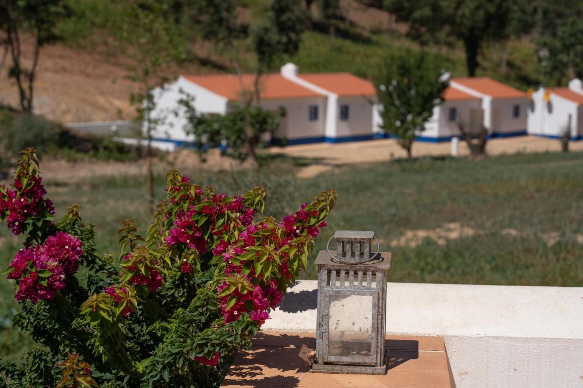 Vale Da Cassiopeia Guest House Cercal do Alentejo Ngoại thất bức ảnh