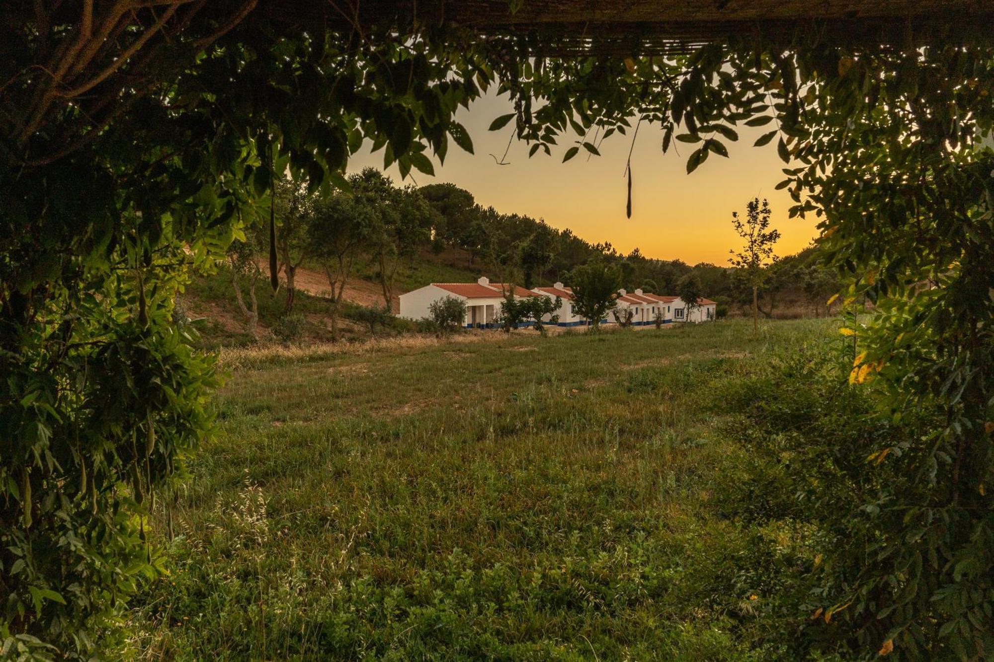 Vale Da Cassiopeia Guest House Cercal do Alentejo Ngoại thất bức ảnh